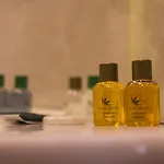 Hotel Marya