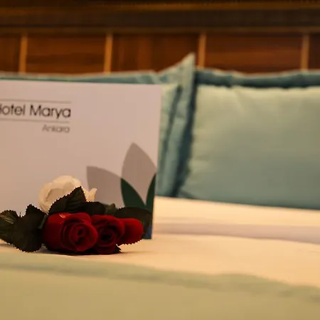 Marya Ankara